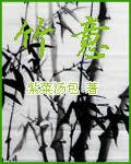 竹意封面