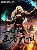 网游之王者无敌封面