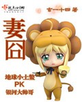 妻囧封面