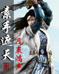 素手遮天封面