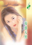 夜惑天使封面