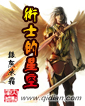 术士的星空封面