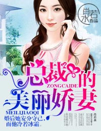 总裁的美丽娇妻 总裁的美丽娇妻
