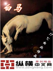 白马封面