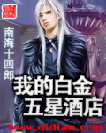我的白金五星酒店封面