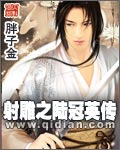 射雕之陆冠英传封面