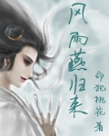 风雨燕归来封面