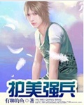 护美强兵封面