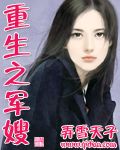 重生之军嫂封面