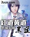 红道黄道黑道封面