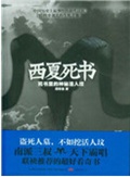 西夏死书封面