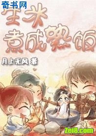 生米煮成熟饭封面