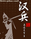 汉兵封面