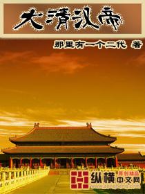 大清汉帝封面