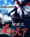 网游之盗行天下封面