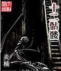 十二骷髅封面