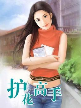 护花高手封面