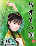 竹林第八闲封面