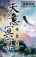 天意冥冥封面
