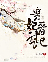 贵妃晋升记封面