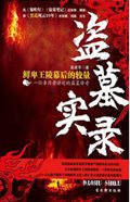 盗墓实录封面