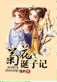 菊花诞子记封面