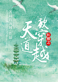 红楼之天道被穿越 红楼之天道被穿越