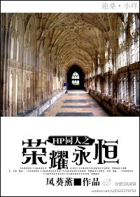 hp同人之荣耀永恒封面