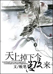 天上掉下个总攻来封面