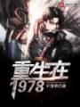 重生在1978封面